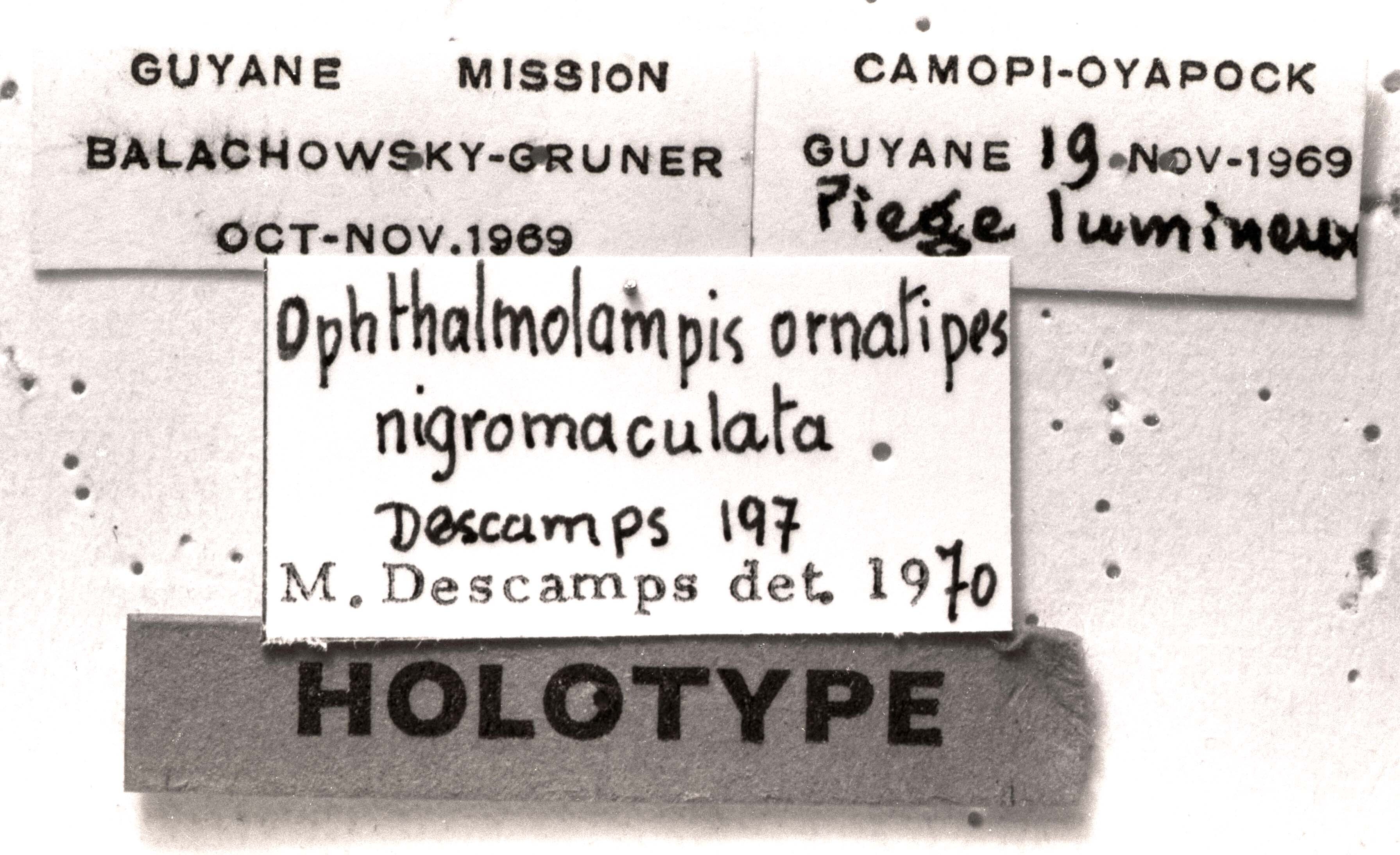 CollectionObject 1540798; 05c49c2d-c4c0-4f65-a0dc-2524569330d7: Image Carbonell, C.S. labels (holotype). (CollectionObject).