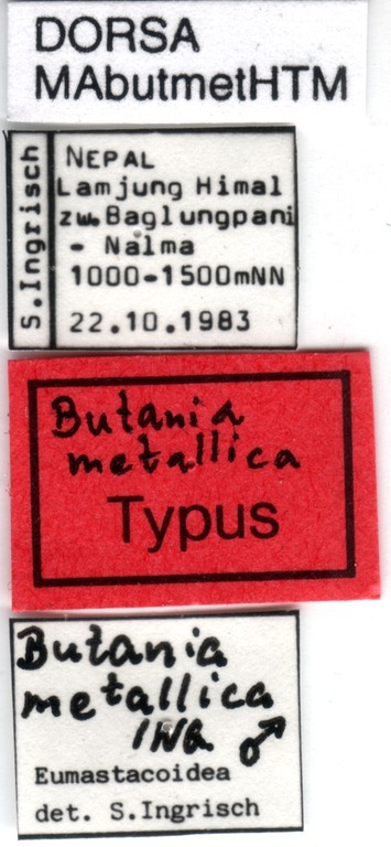 CollectionObject 1521397; 21bbd7e8-9a83-4477-a9a6-ca8011ae0e04: labels (holotype). (CollectionObject).