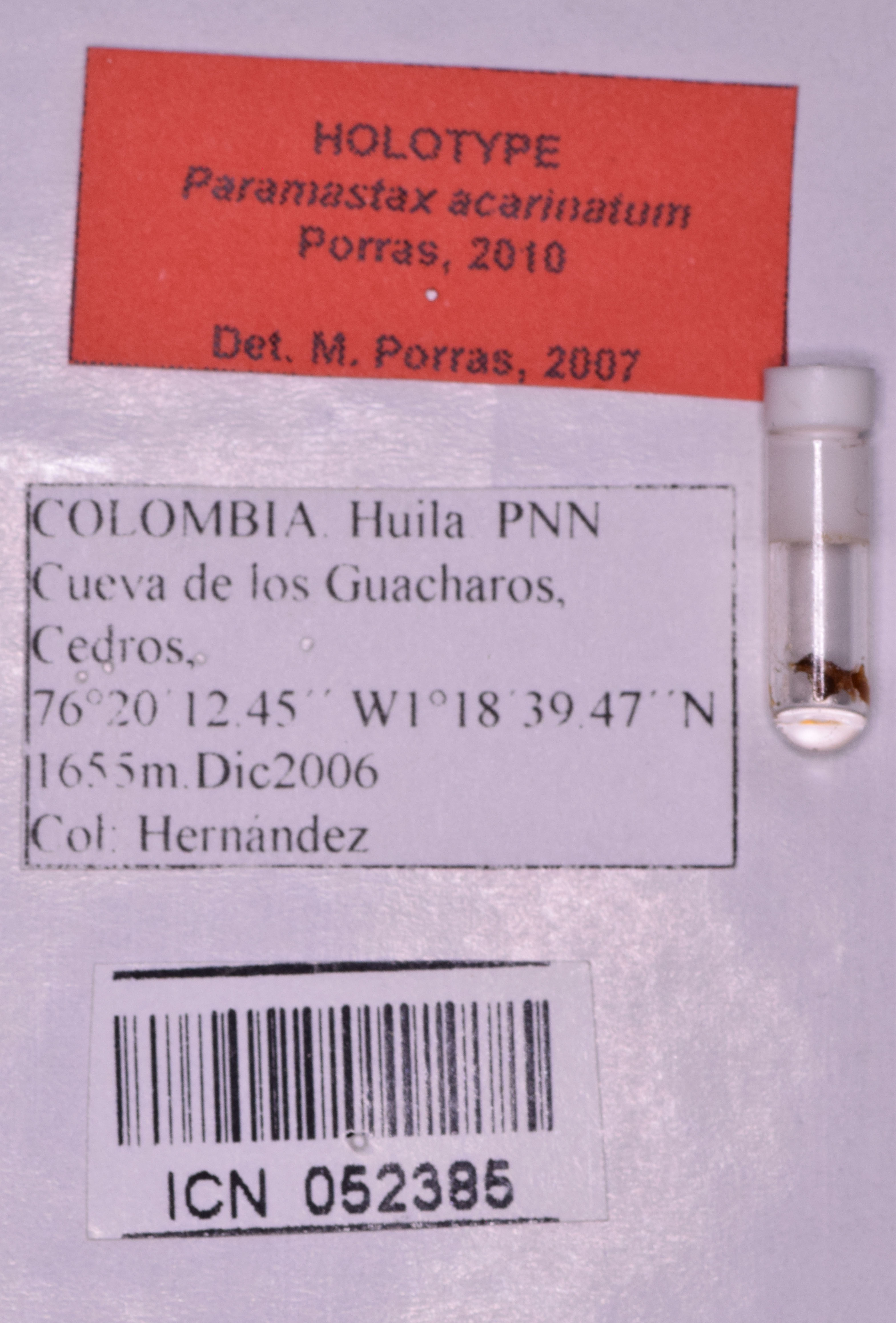 CollectionObject 1544480; 2f9bbd4f-2d18-4a0d-b2a4-67ac9bac1a5d: labels (holotype). (CollectionObject).