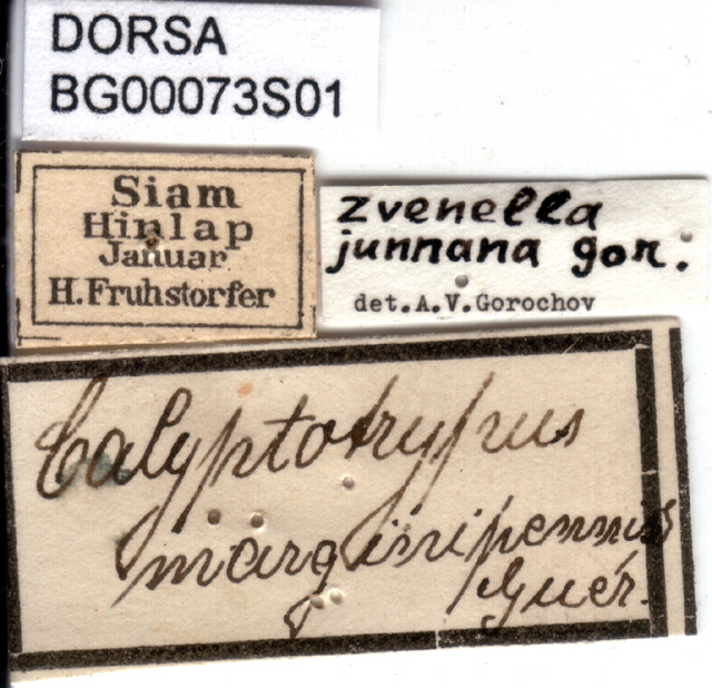 CollectionObject 1567281; cfb67743-a479-4615-96bb-f1c250a59d37: labels. (CollectionObject).