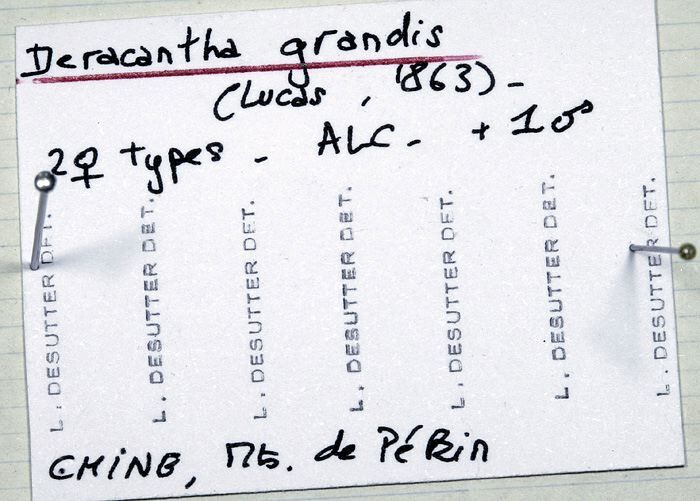 CollectionObject 1539567; 4db60df2-ce78-4650-aee1-928fae8584f8: label (syntypes). (CollectionObject).