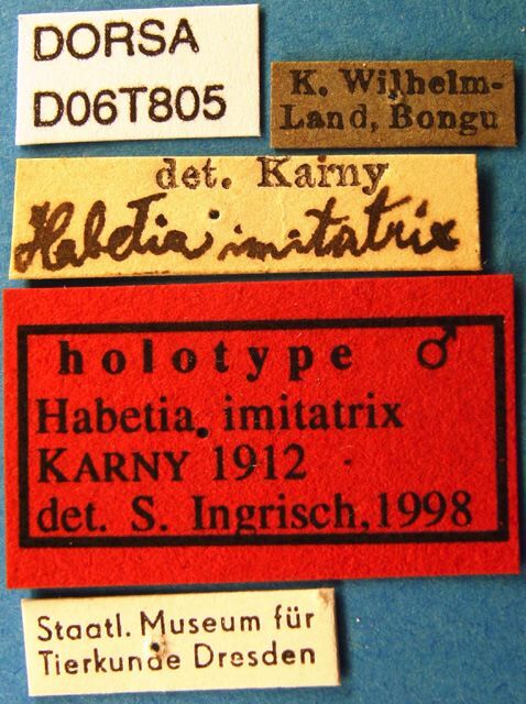 CollectionObject 1504998; f4e9555b-d4aa-4d3a-be7a-4bc0fb6ee47d, DORSA D06T805: labels (holotype). (CollectionObject).