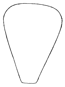 Conocephalus (Anisoptera) spinosus (Morse, 1901): Pl. XVI, Fig 4. female fastigium, outline of cephalic view. (Otu).