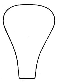 Conocephalus (Anisoptera) insularis (Morse, 1905): Pl. XXII, Fig. 4. outline of cephalic view of fastigium (male). (Otu).