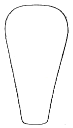 Conocephalus (Anisoptera) spartinae (Fox, 1912): Pl. XVI, Fig. 18. male fastigium, outline of cephalic view. (Otu).