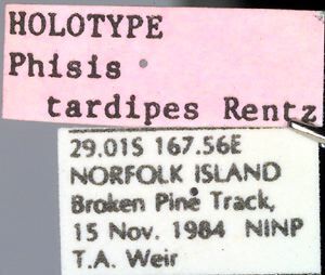 CollectionObject 1504216; e701f288-34af-443e-ac57-81947d9efd45: labels (holotype). (CollectionObject).