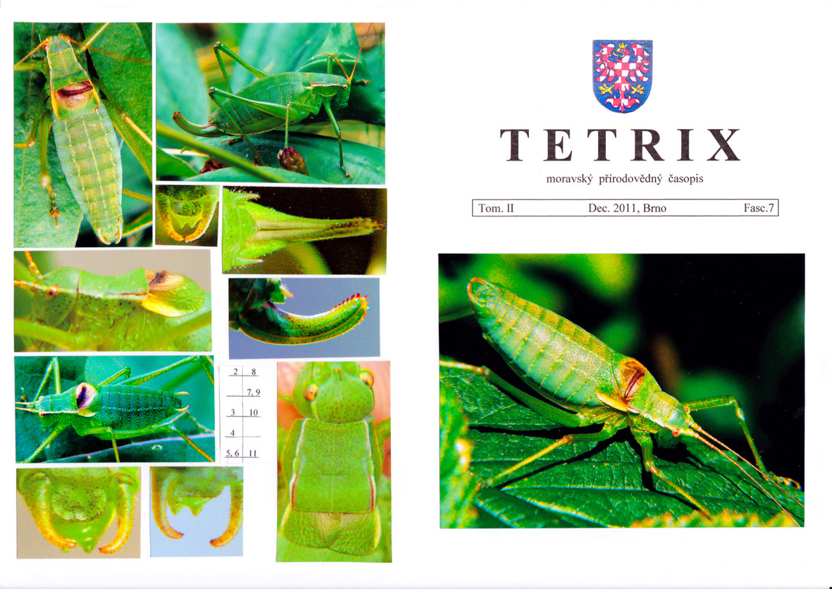 Isophya pienensis sudetica Chládek, 2011: (Otu).