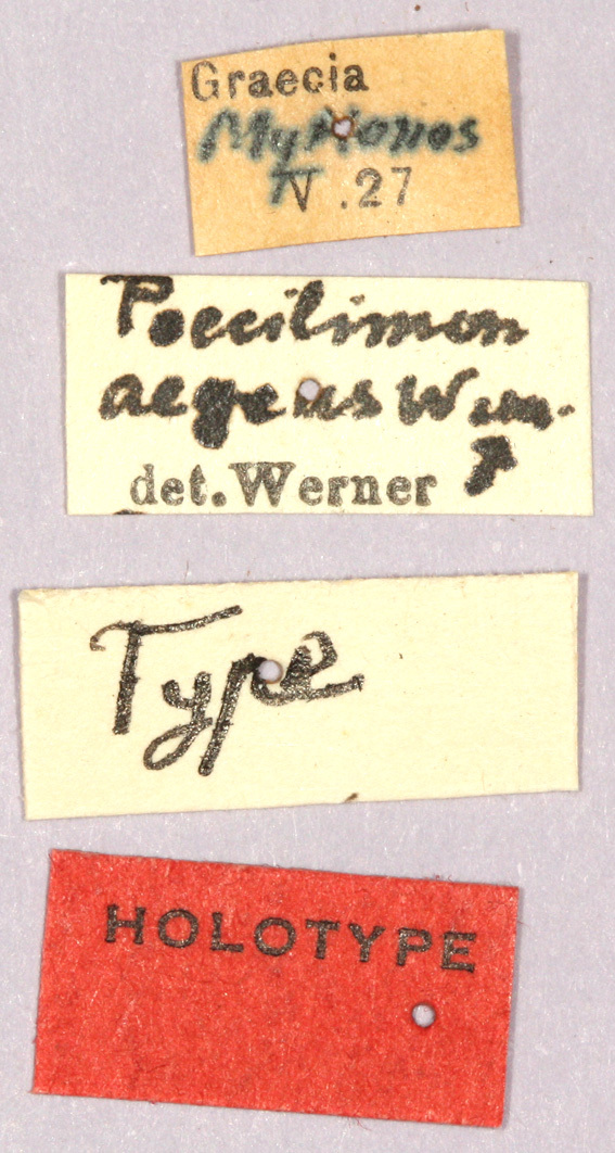 CollectionObject 1499322; 124f4f1b-f6fb-462c-994a-ac22d2065bd6: labels (holotype). (CollectionObject).