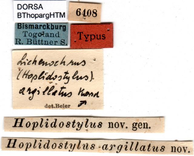 CollectionObject 1500431; 411694b6-da7e-438b-b7f9-2563eaca7455, DORSA BThopargHTM: labels (holotype). (CollectionObject).