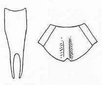Aemasia major Brunner von Wattenwyl, 1895: Fig. 22. subgenital plates of male and female. (Otu).