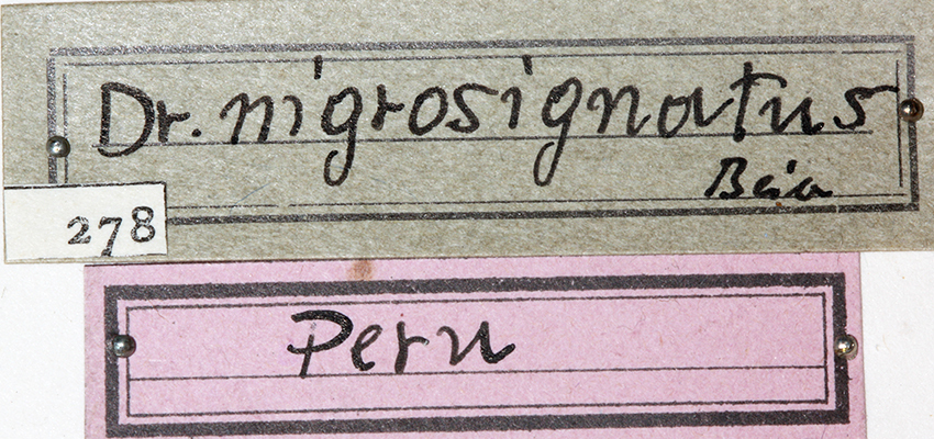 CollectionObject 1531862; 724748a9-ad52-4e6c-a47f-20f295be5f16: labels in box. (CollectionObject).