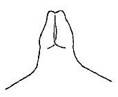 Callimenellus variegatus Gorochov & Voltshenkova, 2005: Fig. 5. male fastigium, dorsal view. (Otu).