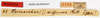 CollectionObject 1558962; 17d39c69-c611-40bc-845c-bbe2998b1c21: copyright MNHN, Paris. female, data labels (holotype). (CollectionObject).