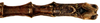 CollectionObject 1578597; 219e7698-1af5-4718-9672-3c56d415ae77: copyright ISNB, Brussels. male: end of abdomen, ventral view (holotype). (CollectionObject).