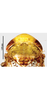 Head: head and thorax, dorsal view. (Observation).