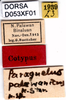 CollectionObject 1574682; dab02623-c1b8-4acc-86b9-963106ed9ae5: female, labels (syntype). (CollectionObject).
