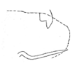 Pygofer, lateral view: Genital capsule, lateral view. (Observation).