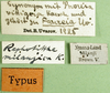 CollectionObject 1501515; 425a09b1-ce2c-4963-97d0-d9b8822d2d9c: labels (holotype). (CollectionObject).