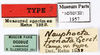 CollectionObject 1587372; MNHN(SF IMPORT DUPLICATE) MNHN-EP-EP1957, fd0cadea-c12b-4498-a0a5-6bb9b02f8e15: CC BY-NC-ND 4.0/MNHN - Depraetere Marion - 2014. Non type, sex unknown. Specimen number: MNHN-EP-EP1957. http://coldb.mnhn.fr/catalognumber/mnhn/ep/ep1957. (CollectionObject).