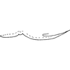 Pygofer appendages on Asymmetrasca kishtwarensis (Sharma, 1984) now Asymmetrasca kaicola (Dworakowska, 1982): Pygofer process, lateral view. (Observation).