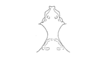 Bryophilacris muscicolor Descamps, 1976: Fig. 44. fastigium, dorsal view. (Otu).