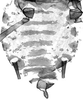 Abdomen, sternal apodemes, ventral view.: (Observation).