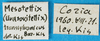 CollectionObject 1501791; e1780ab3-f93d-47ae-a21f-0a668a81c020: labels. (CollectionObject).