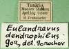 CollectionObject 1567476; c21b082f-e0cc-4b04-9077-33cf01a0753f: labels. (CollectionObject).