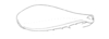 Ceuthophilus (Ceuthophilus) divergens Scudder, 1862: Fig. 487. caudal femur of male. (Otu).