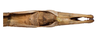 Austrocarausius mercurius (Stål, 1877): copyright Braxton Jones. male: end of abdomen, ventral view. (Otu).
