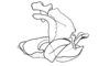 Zygoclistron nasicum (Gerstaecker, 1873): Fig. 19. phallic compex, lateral view. (Otu).