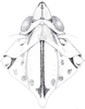 Head: !! display not done !! on Cixidia (Epiptera) skaloula Asche, 2015: (Observation).