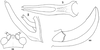 Casigneta palauensis Vickery & Kevan, 1999: 56. male head, 57&58 male subgenital plate vent. &lat. 59 ovipositor. (Otu).