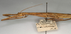 CollectionObject 1560745; NMW 904, 266d69e8-9cad-4154-8db5-c64a9c712e75: copyright NMW, Vienna. female: head and thorax, lateral view (holotype). (CollectionObject).