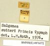 CollectionObject 1573089; d21d7ab4-ab8e-4fac-9f91-cbbb770e1d46: Copyright Natural History Museum, London. Labels from non-type (female nymph) in BM(NH). (CollectionObject).