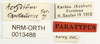 CollectionObject 1574545; NHRS NRM-ORTH 13488, 56385304-ee61-4902-b567-b04ca65697b7: labels (syntype). (CollectionObject).