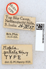CollectionObject 1518904; c626d056-65f4-4a5a-b7b0-51098f7fa0fc: labels (holotype). (CollectionObject).