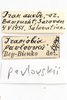 CollectionObject 1528691; b944cb21-38bf-41d0-922a-4393f09284e0: male, labels (holotype). (CollectionObject).