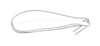 Ceuthophilus (Geotettix) umbratilis Hubbell, 1936: Fig. 498 (after paratype from Dallas, TX). male hind femur. (Otu).