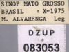 Other on Caetana pulchra Domahovski, Gonçalves, Takiya & Cavichioli, 2019: Male holotype [DZUP]: labels. (Observation).