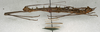 CollectionObject 1560232; NMW 583, 33a0ac54-e9d9-425c-b8a5-5eaa798bbc4e: copyright NMW, Vienna. female, lateral view (syntype). (CollectionObject).