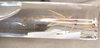CollectionObject 1562024; b753e7ab-50fc-47da-acaf-7d9361c4d52c: copyright ANIC, Canberra. male (holotype). (CollectionObject).