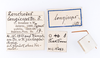 CollectionObject 1559066; 4416745c-266d-40cf-a6f4-f0b409ae828e: copyright ZMUH, Hamburg. male data labels of Lonchodes longiceps (holotype). (CollectionObject).