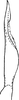 Pygofer ventral appendages, ventral view on Empoasca (Empoasca) gibsoni Ross, 1959: Pygofer process, ventral view. (Observation).