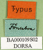 CollectionObject 1565723; 581e987a-74a7-472c-80f3-1b666db826e8: labels. (CollectionObject).