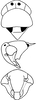 Head: !! display not done !! on Aaka coera Dworakowska, 1972: Head, pro-, and mesothorax. (Observation).