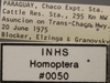 Other: !! display not done !! on Agudus typicus Oman, 1938: Labels. (Observation).