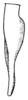 Pl. XXIII, Fig. 19. lateral outline of male cercus (more elongate condition). Depicts Conocephalus (Anisoptera) saltator (Saussure, 1859), an Otu.