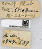 CollectionObject 1579151; 4f01a3d2-5ec0-44ea-9e6f-1b93de6c3264: labels. (CollectionObject).