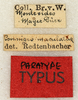 labels (syntype). Depicts CollectionObject 1592173; 56eb4e3f-528e-48dd-baa5-2544af2acbcf, a CollectionObject.